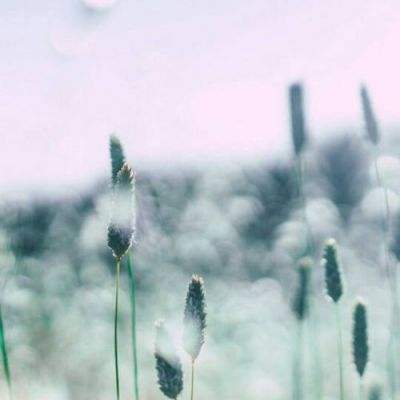 必博体育平台app下载